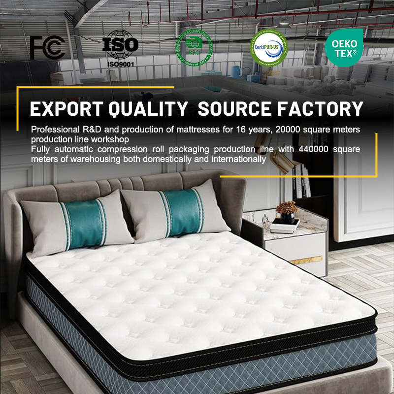 Hot verkopende Euro luxe kings - Memory Foam Mattress In A Box Queen recensie en prijs