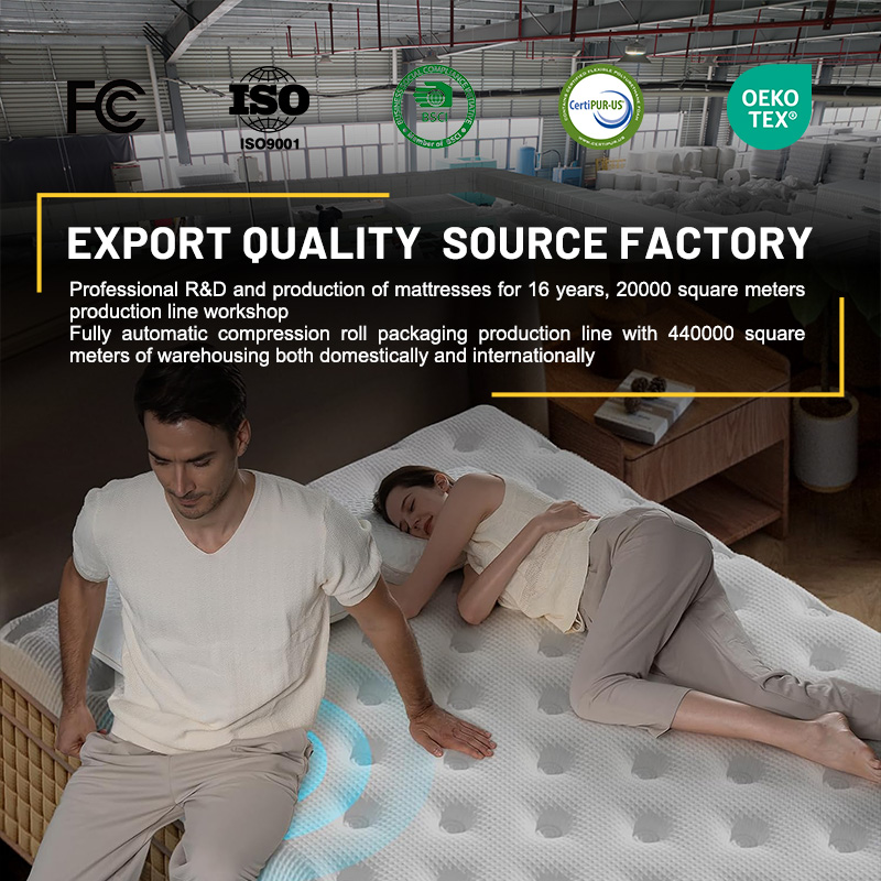 HOMEMATE 14 Inch In A Box Quee - Memory Foam Mattress In A Box Queen recensie en prijs